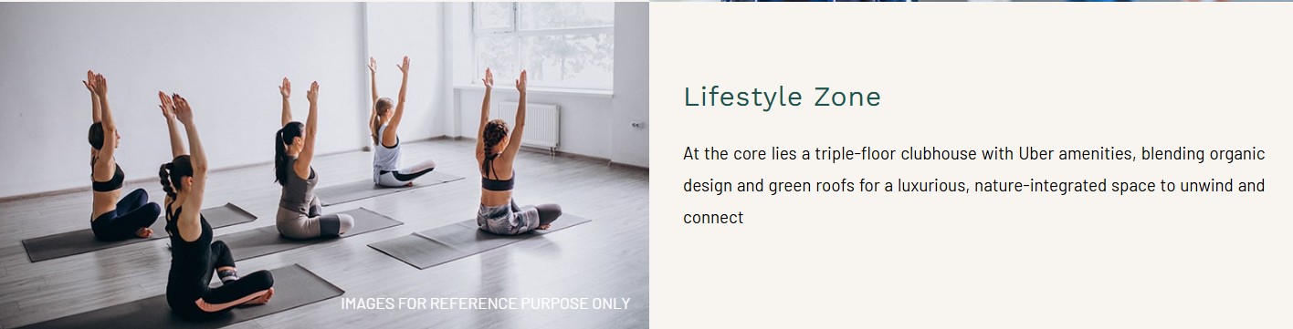 The Trillion Lifestyle Zone